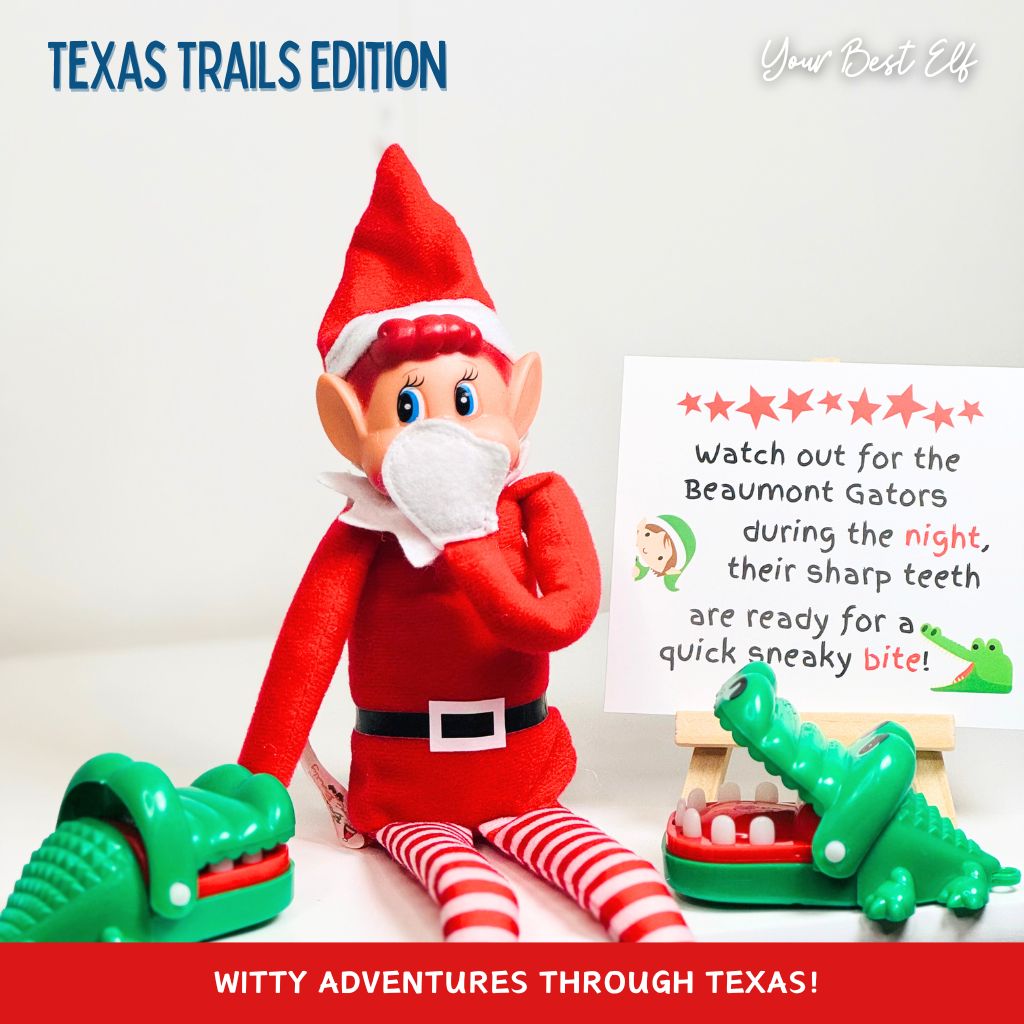Best Elf Kit Gators Shelf