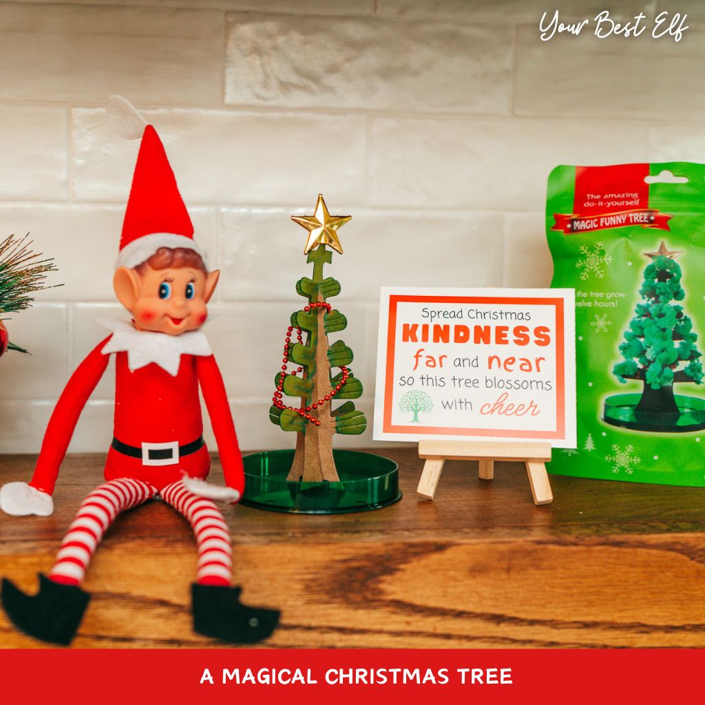 Your Best Elf Kit 2024 - 24 Day Elf Kit so it doesn’t just sit on the shelf